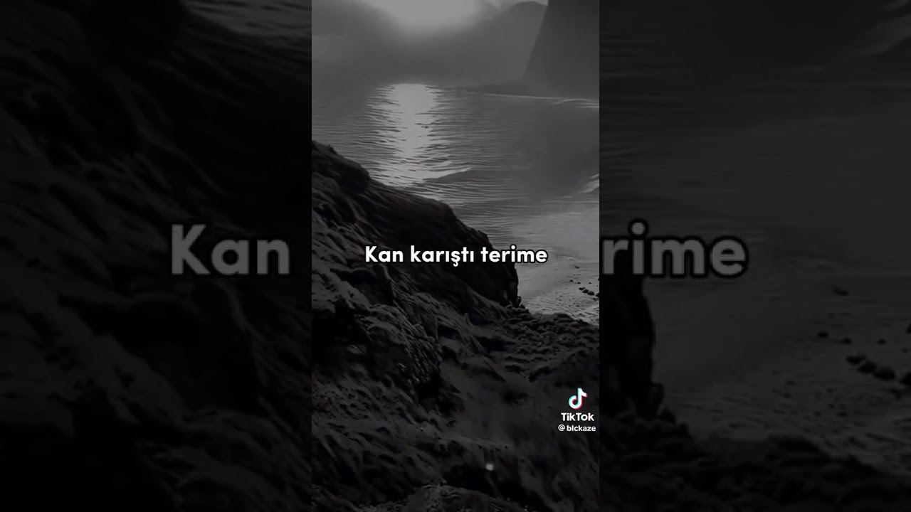 Bıraktım Geldim Evimi Geride,Adımı Aldılar Kan Karıştı Terime... #shortvideo #tiktok #shortsvideo