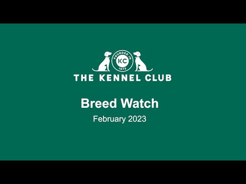 Breed Watch February 2023