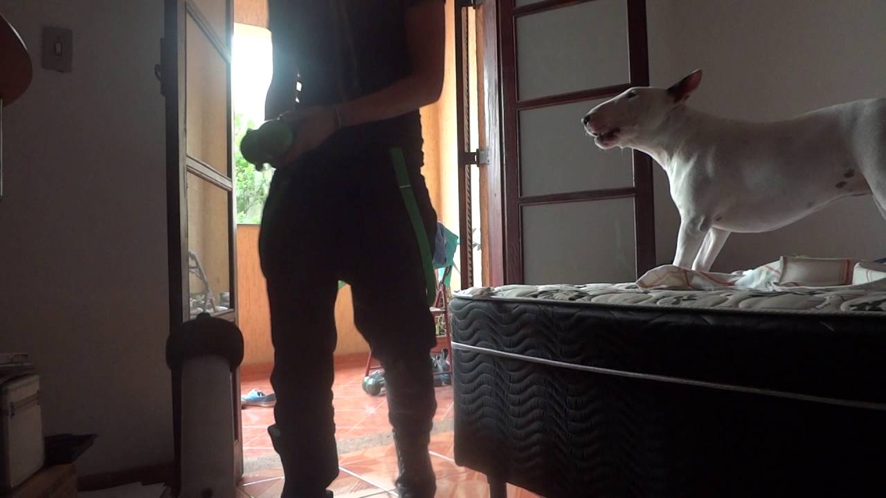 Brincando no quarto