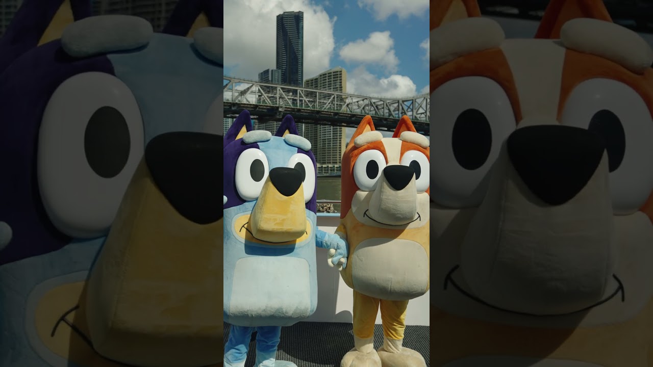 Brisbane Welcomes Bluey and Bingo Themed CityDogs 💙🧡 | Bluey #ytshorts