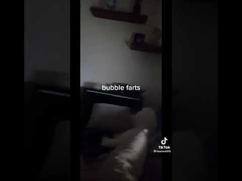 bubbly farts