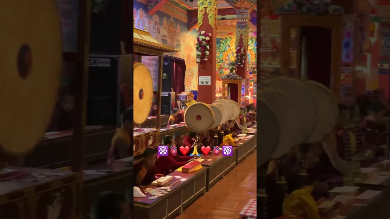 #buddhistmonk #buddhism ☸️🙏☸️#highlights #everyone