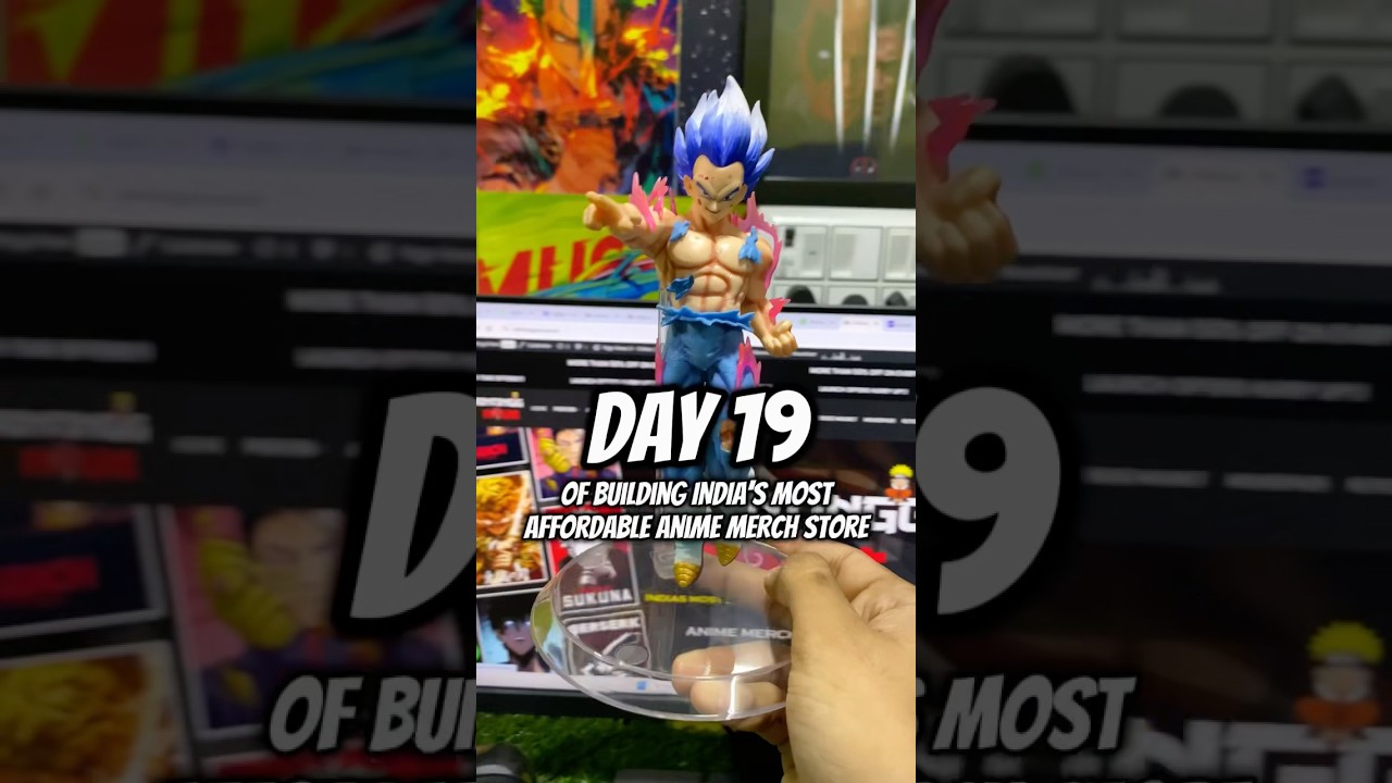Building India’s 🇮🇳 most Affordable anime merch store “Day 19”