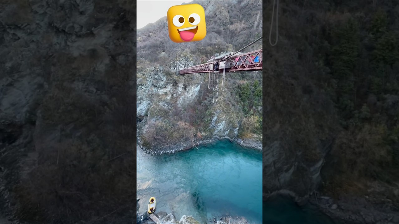 bungy jump Queenstown #viralvideo #travel #trending #travelvlog #newzealand #bungyjump #foryou#fyp