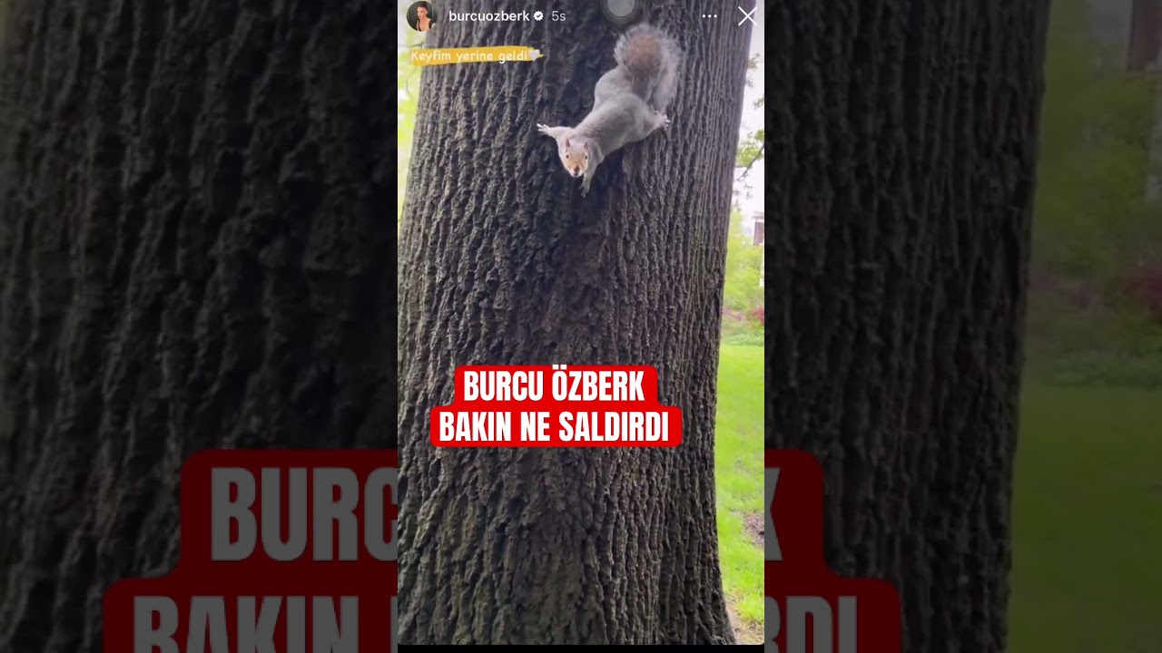 Burcu özberk bakın ne saldırdı #shortsvideo #magazin #short #shorts #shortsyoutube #shortsbeta #love