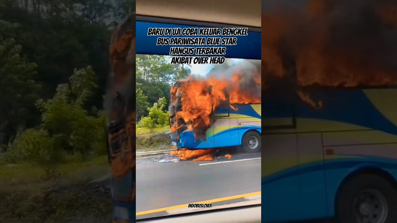 Bus Blue star hangus terbakar, 21 07 24 #bus #busmania #busterbakar #alsmania #shorts