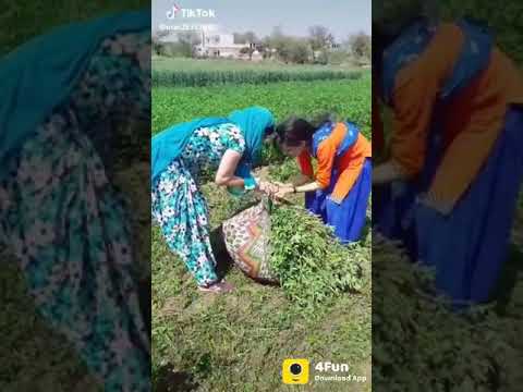 Butiyana  ka davag