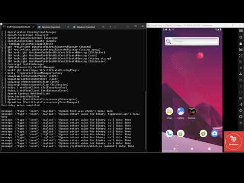 Bypass SSL Pinning, Emulator, Root & Frida Detection in DVBA (Damn Vulnerable Bank) APK | Full Guide