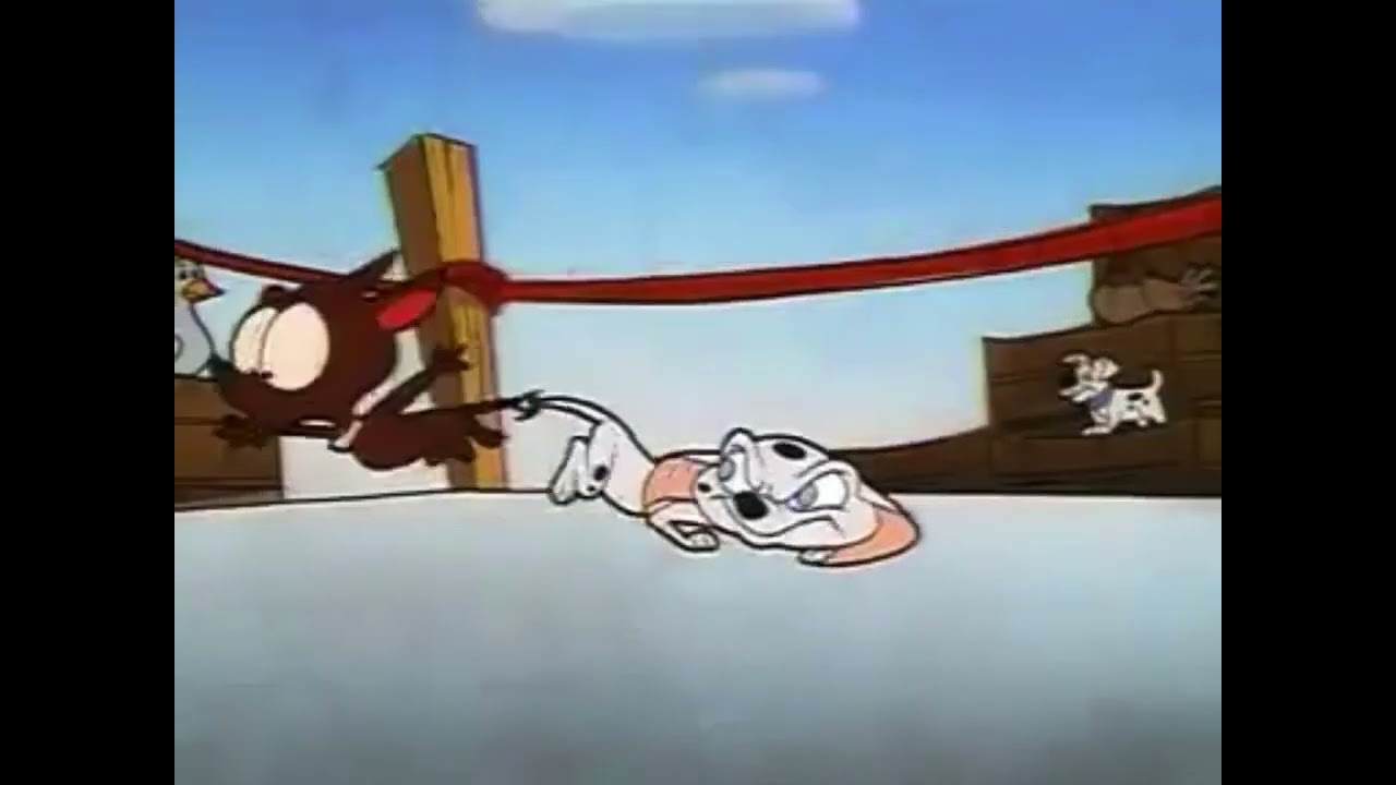 Cadpig fights small dog