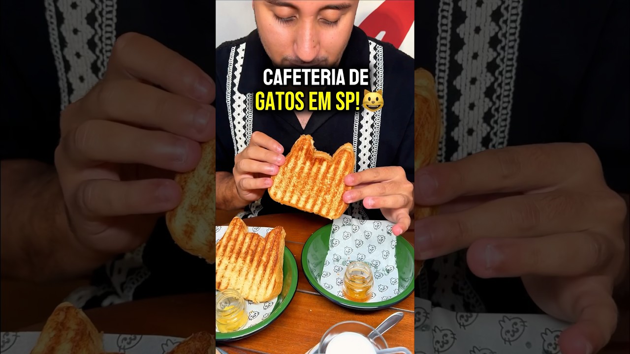 CAFETERIA DE GATOS EM SP! Se chama Gato Pingado, fica em Pinheiros. #cafeterias #dicassp #cafeteria