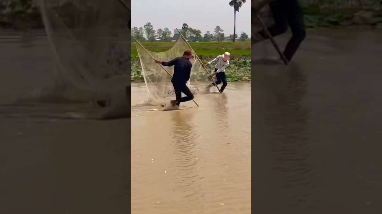 Cambodia Traditional fishing #shorts
