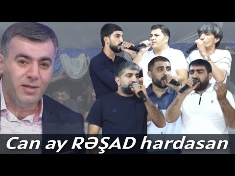 Can ay Rəşad hardasan - Masalli, Turkoba toyu 2024