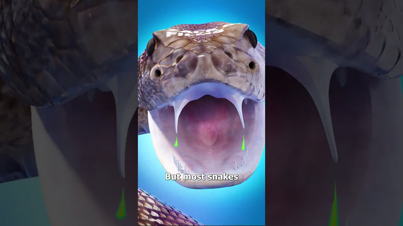 Can Snakes Die From Venom? 😮