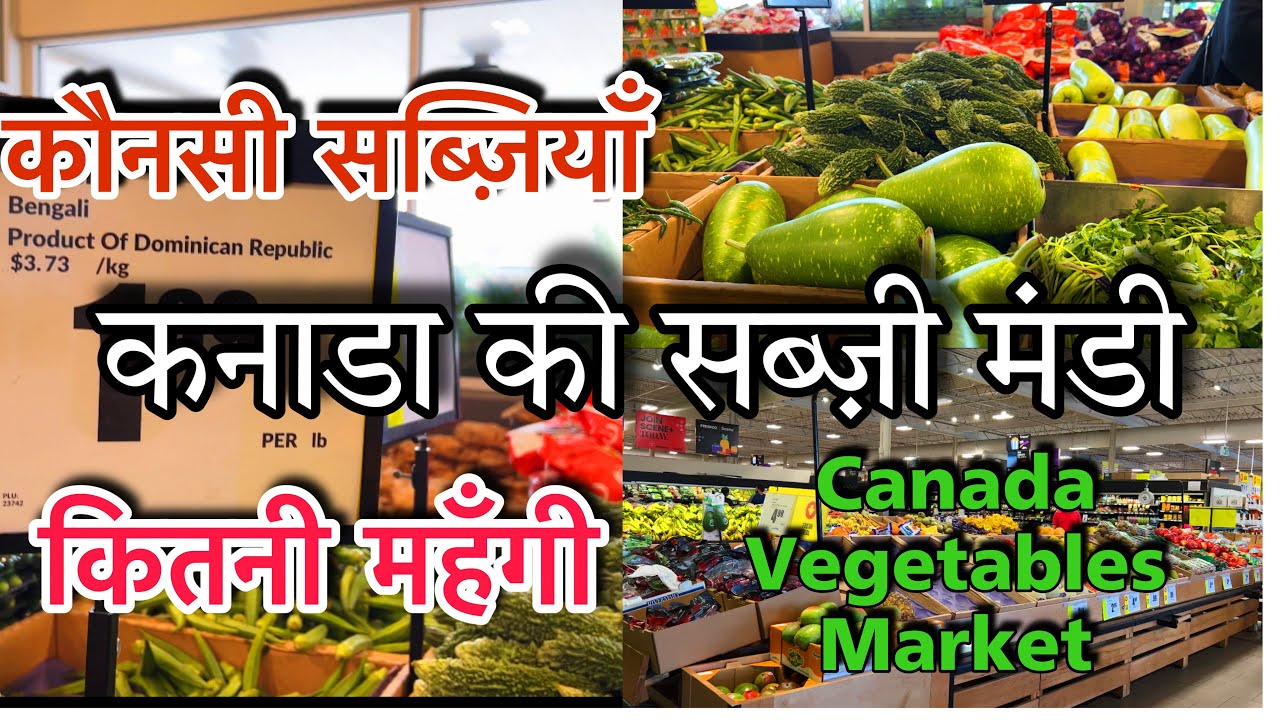 Canada Vegetables Market || Canada Vegetables Price || Canada ki Sabzi Mandi || Fresh Co