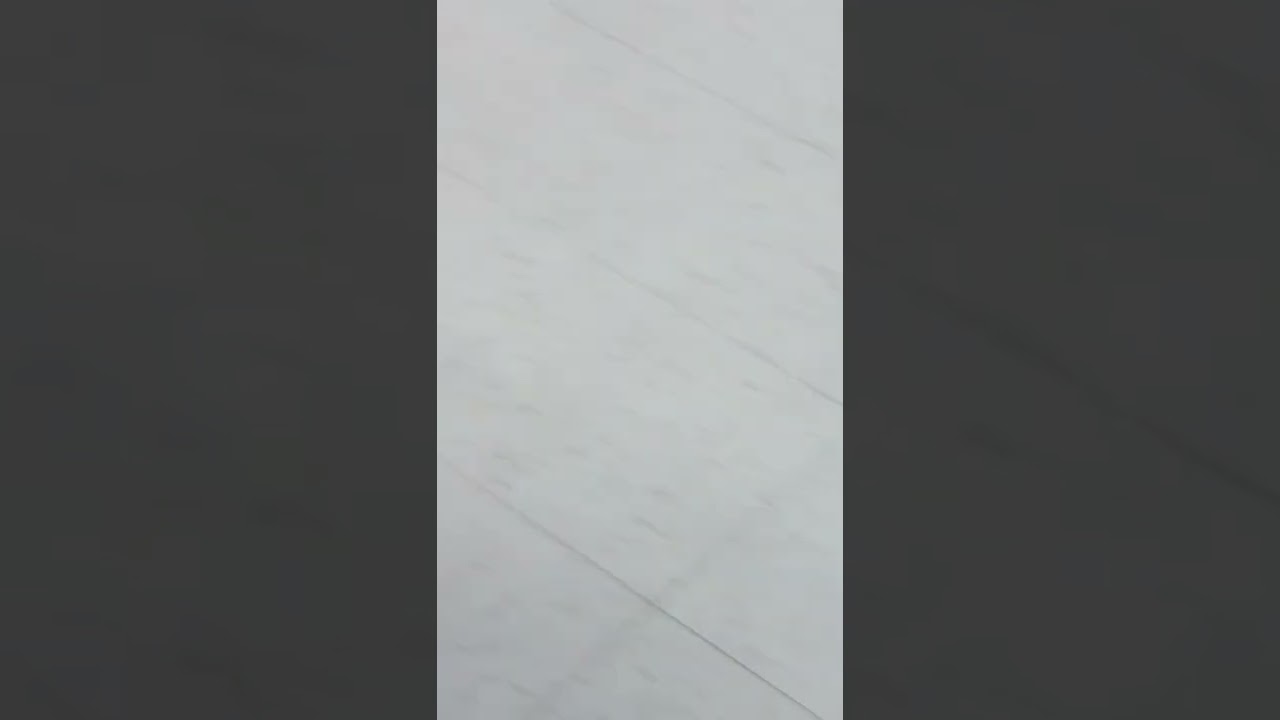 Candid Bug Crush
