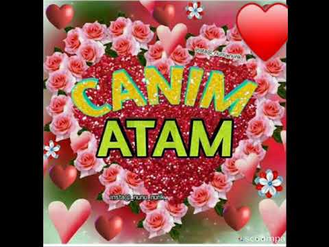 Canım atam