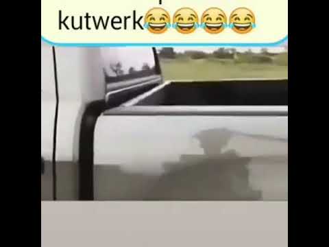 car that  defeats ladies to twerk🤣🤣😂🔥