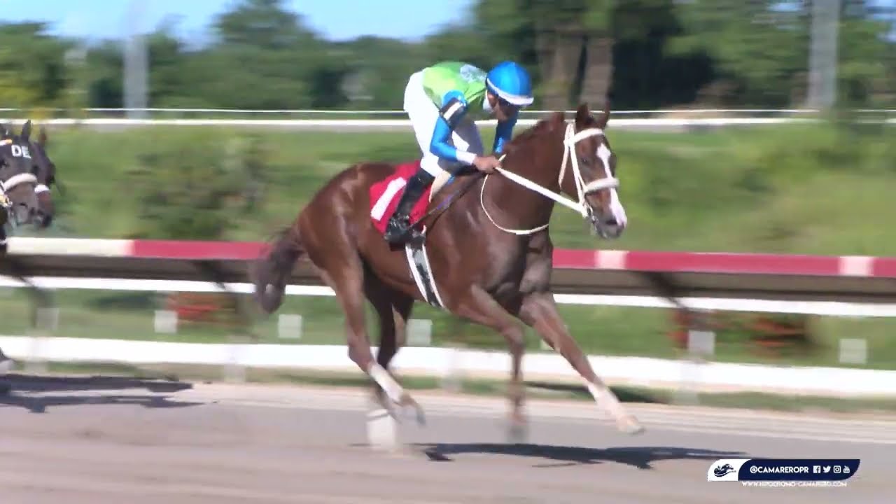 CARRERA 3  - 22/OCTUBRE/2022 ( NEW MILIONAIRE )