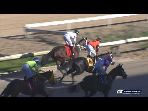 CARRERA 4 -  22/OCTUBRE/2022 ( LUCYMAR )