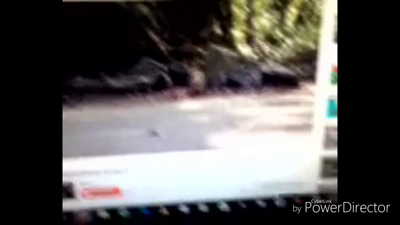 Cartoon screams v13
