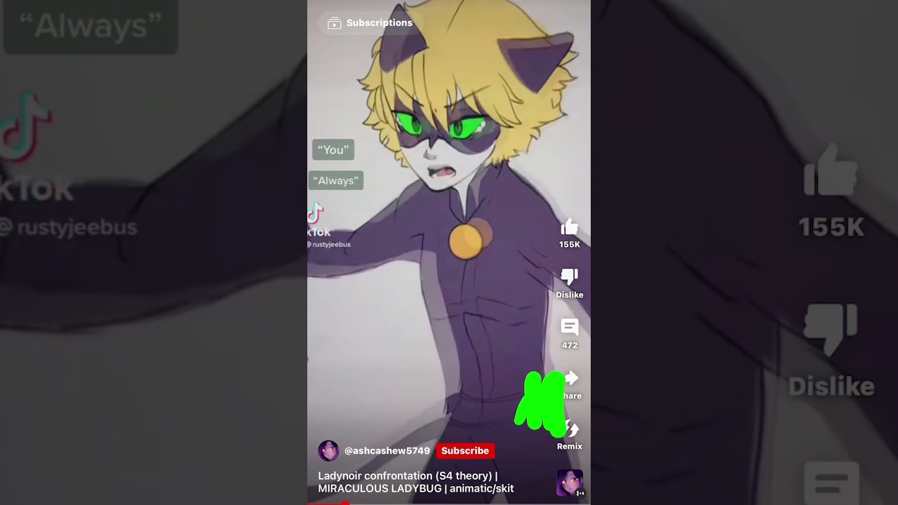 Cat noir fart