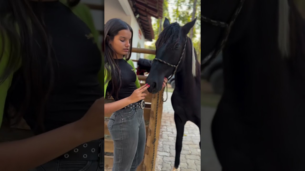 Cavalo Aspirador #pepe #cavalos