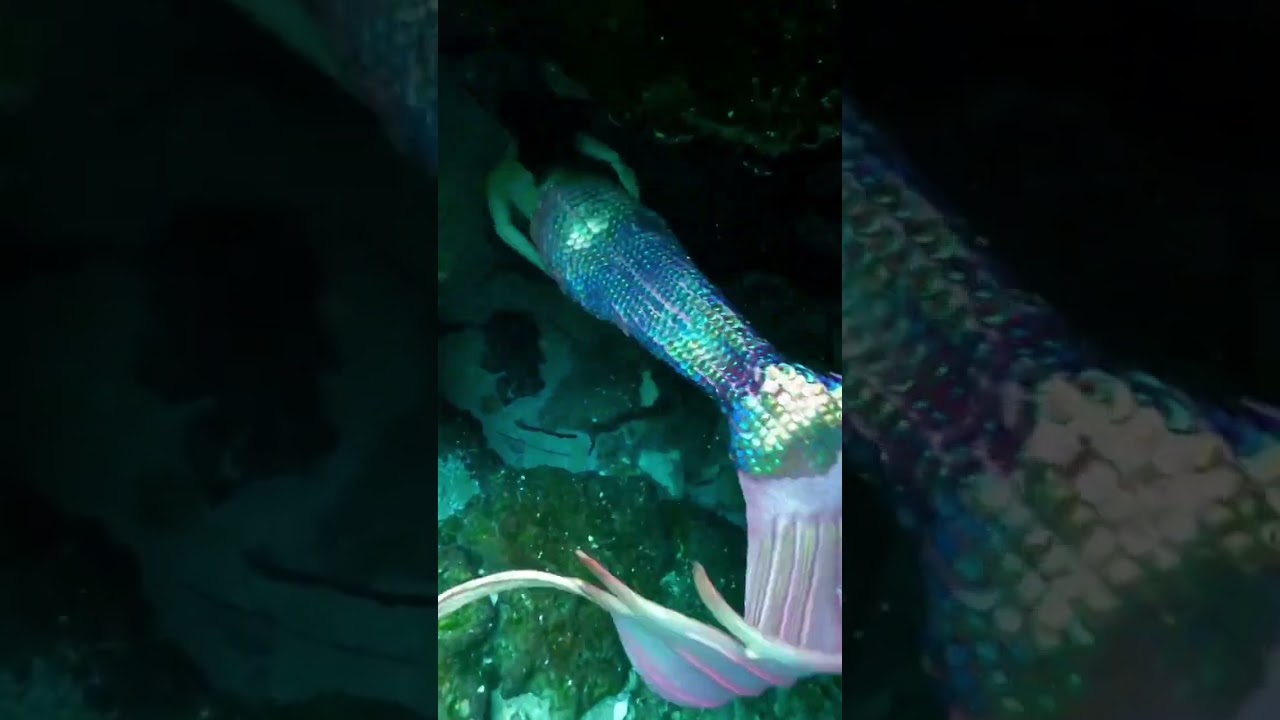 Cave dives overwhelm me 😳 #mermaid #h2o #floridatravel #underwater #diving #cosplay #littlemermaid