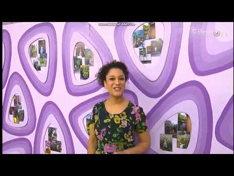 CBeebies Shows But It's Making Fiends (Part 10/FINAL PART)