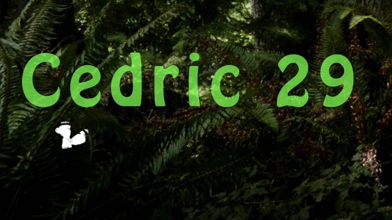 Cedric 29