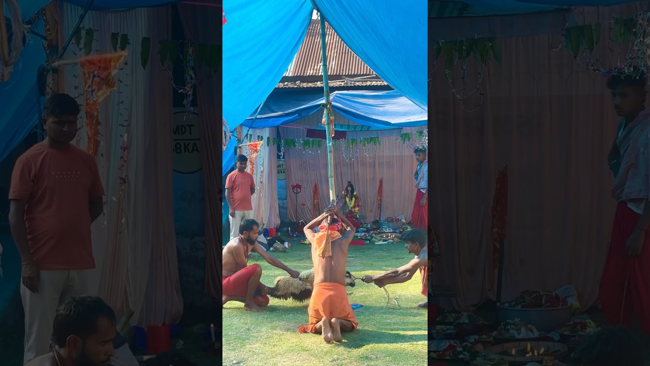 #Charakpuja2025 #harharmahadev #Haro gouri puja #charak_puja #shorts #youtubeshorts #shortsfeed