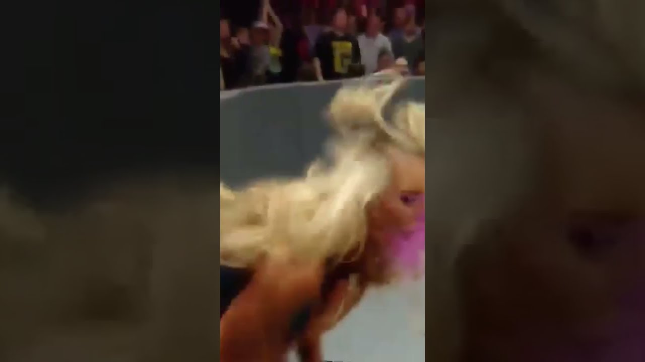 Charlotte flair gets her tits spanked by Sasha banks