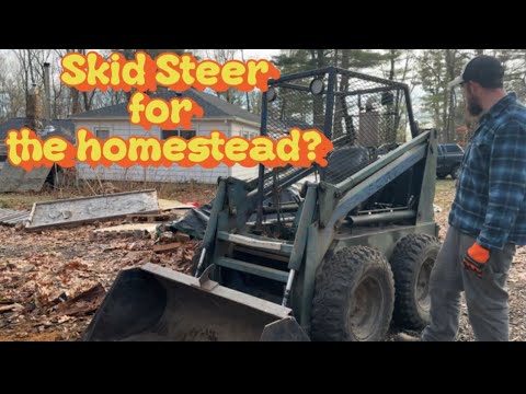 Cheap skid steer for the homestead