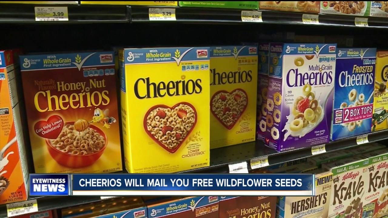 Cheerios offers free wildflower seeds to help save the bee population