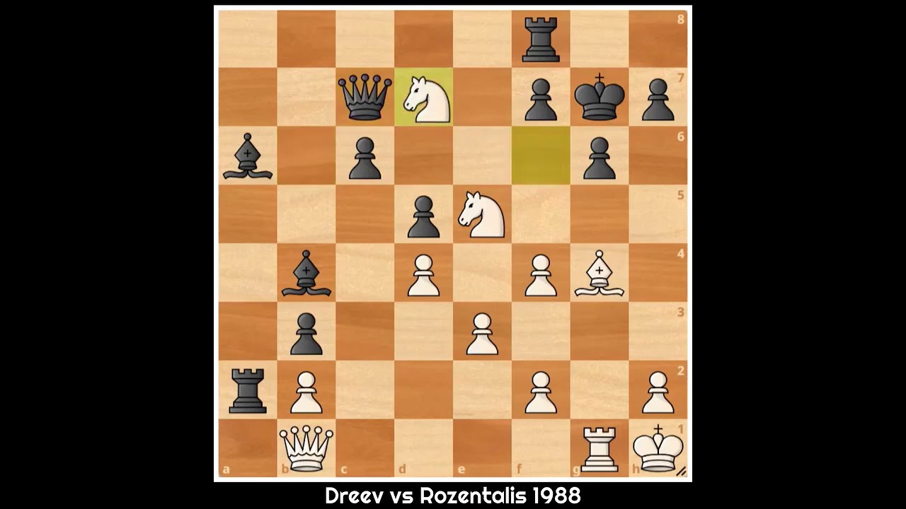 chess legends 1988
