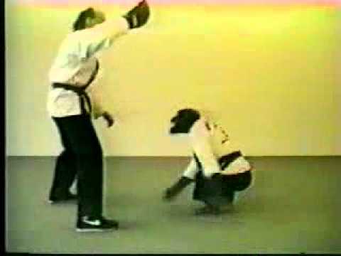 Chimp fights man