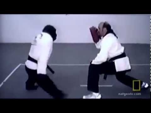 Chimp learns martial arts