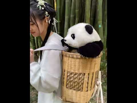 Chongker Realistic Stuffed Panda