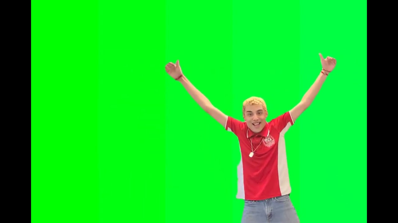 ChonkyToad let's go greenscreen