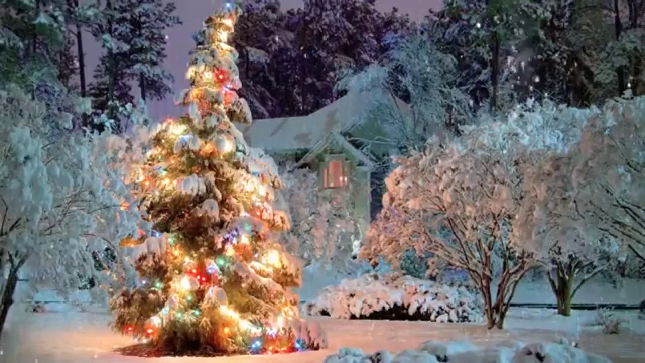 Christmas  in London by Gulyaz Mammadova