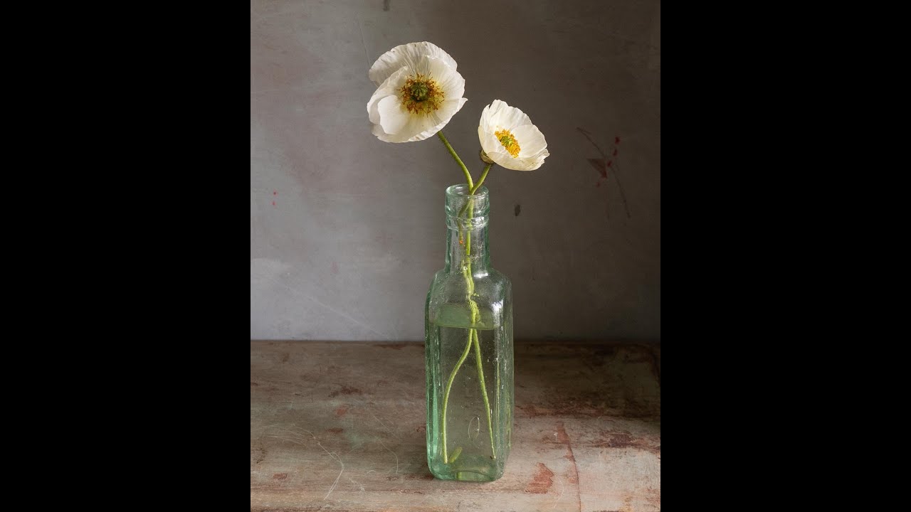 Close value challenge: White Poppies - Live Oil Painting demonstration