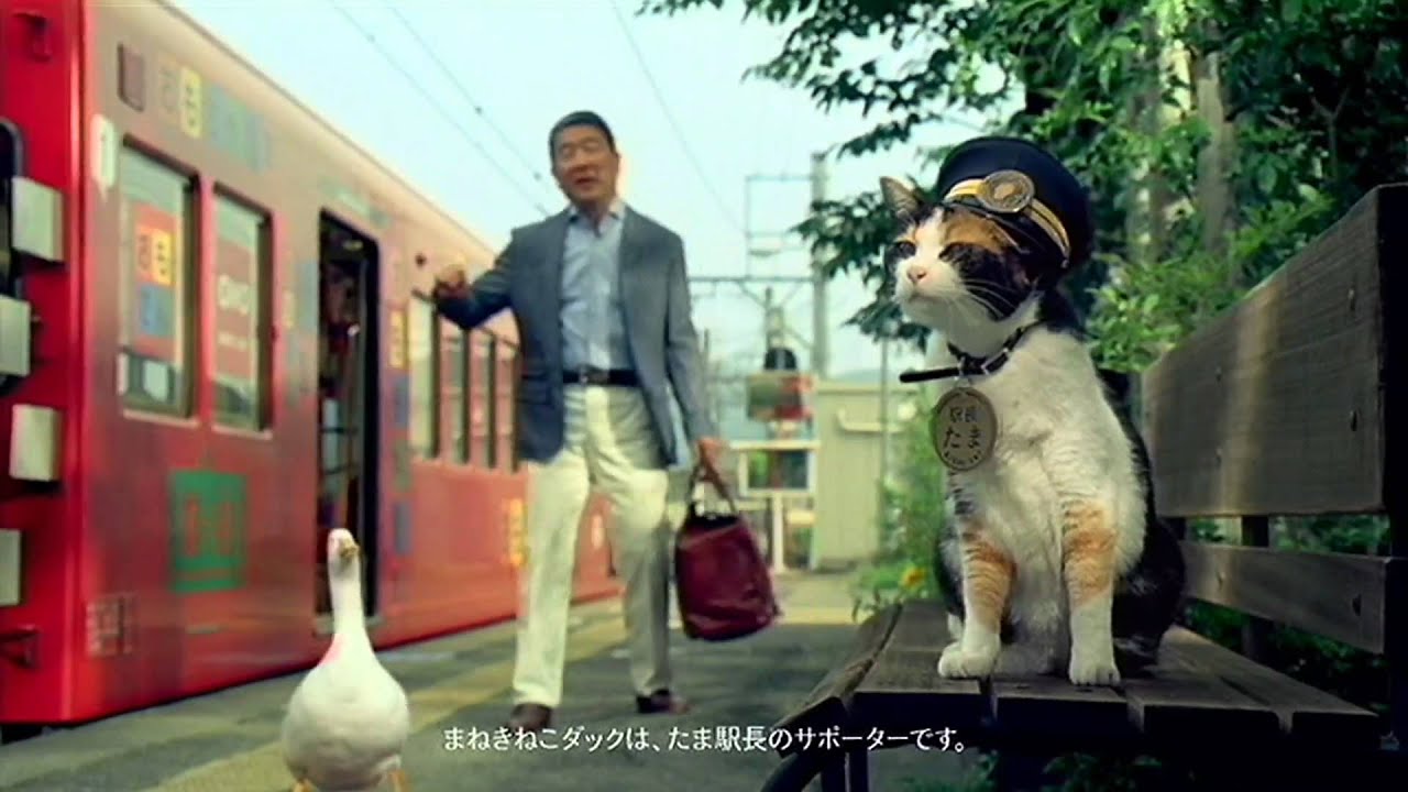 いいなCM　アフラック　徳光和夫　もっとやさしいEVER 「たま駅長」篇