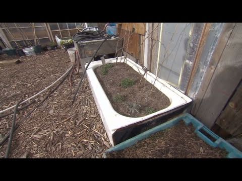 CNN: Roberta's urban garden
