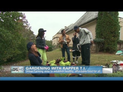 CNN's Dr. Sanjay Gupta and rapper TI plant a winter garden