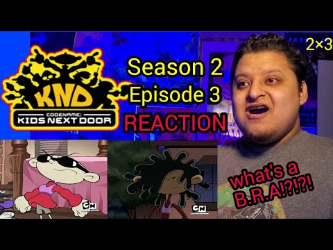 Codename: Kids Next Door | Season 2 Episode 3 (REACTION)