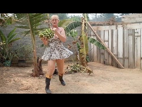 colhemos bananas no quintal da casa...
