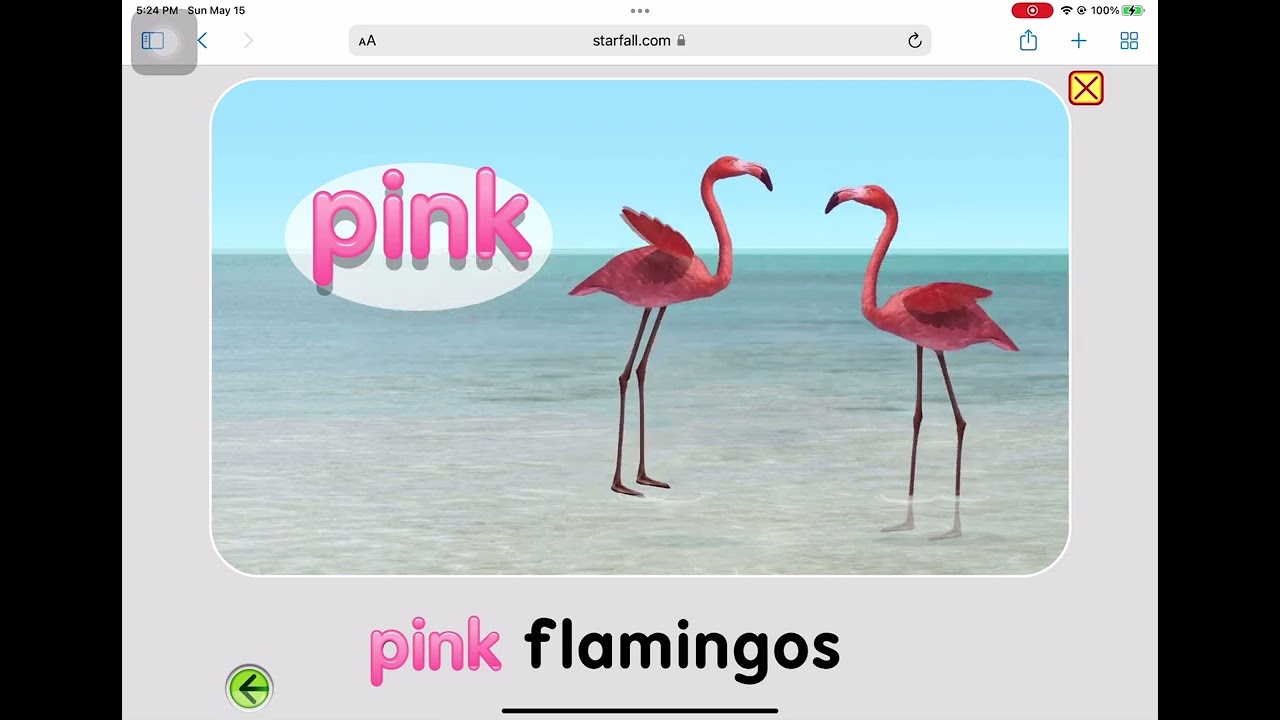 Color PINK- Learning Colors for Kids by Starfall