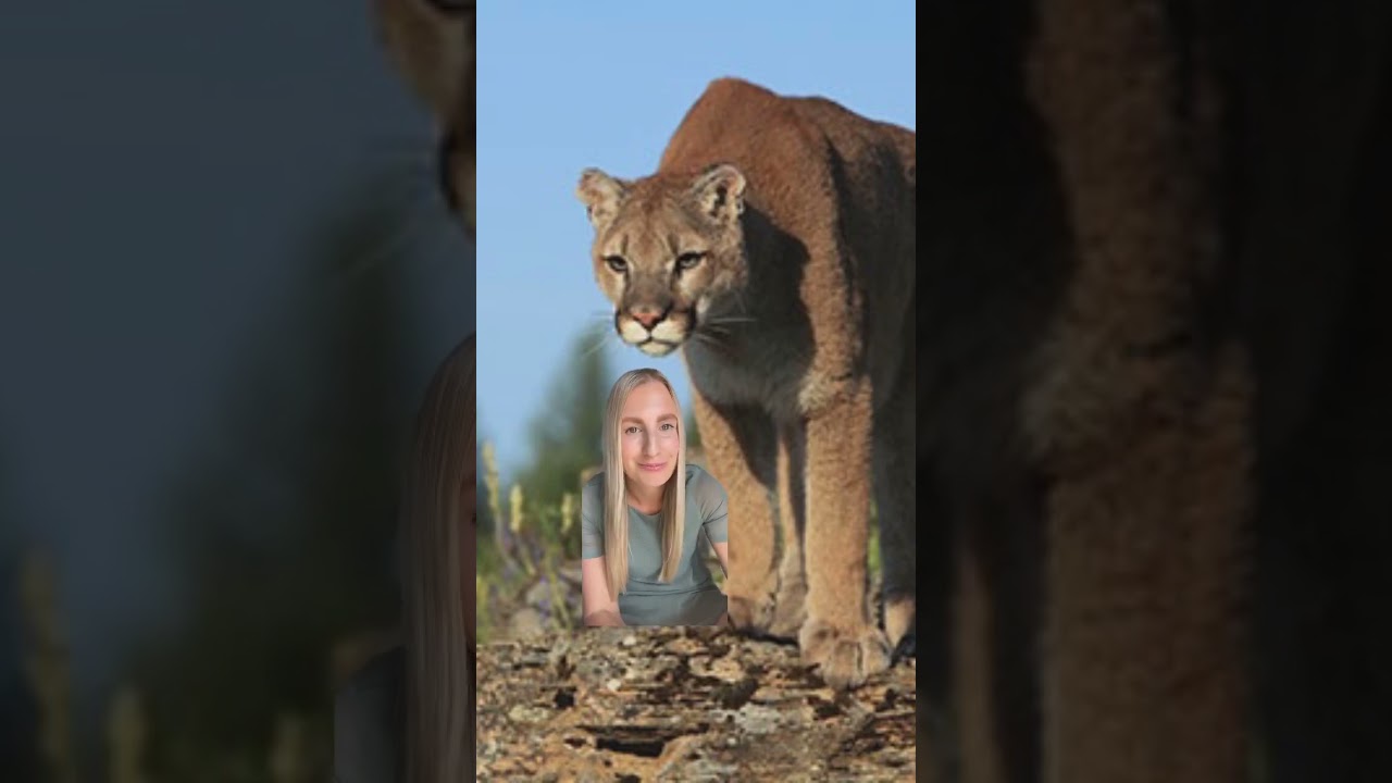 Colorado Wildlife Challenge!