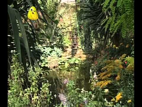 Come Outside - Butterflies