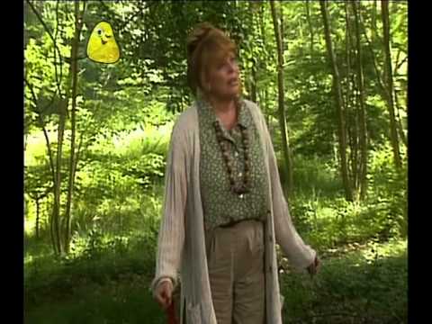 Come Outside - Wood