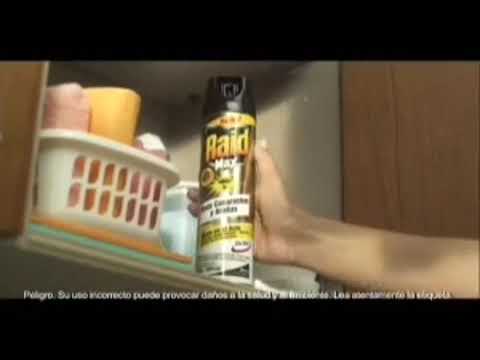 Comercial Raid Max (Argentina 2010 - 2011)